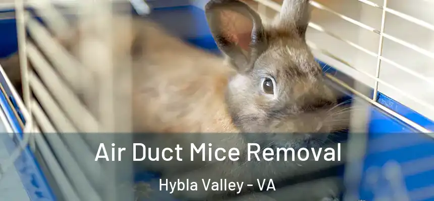  Air Duct Mice Removal Hybla Valley - VA
