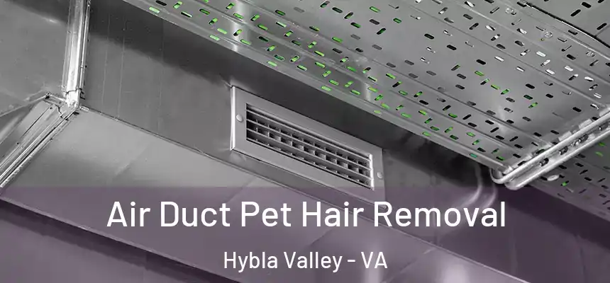  Air Duct Pet Hair Removal Hybla Valley - VA