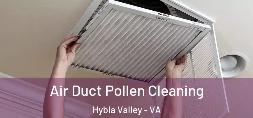  Air Duct Pollen Cleaning Hybla Valley - VA