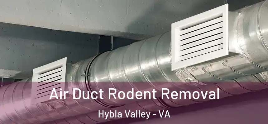 Air Duct Rodent Removal Hybla Valley - VA