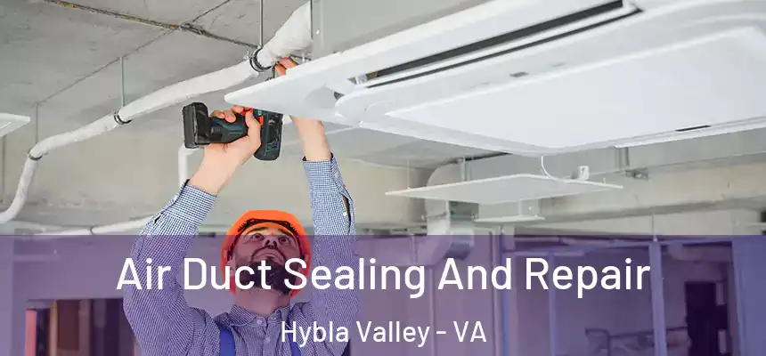  Air Duct Sealing And Repair Hybla Valley - VA