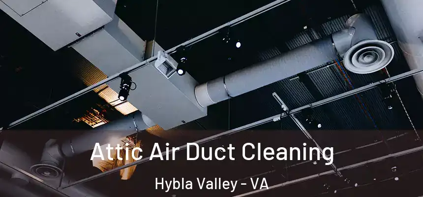  Attic Air Duct Cleaning Hybla Valley - VA