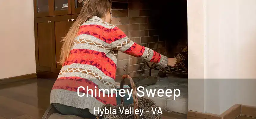 Chimney Sweep Hybla Valley - VA