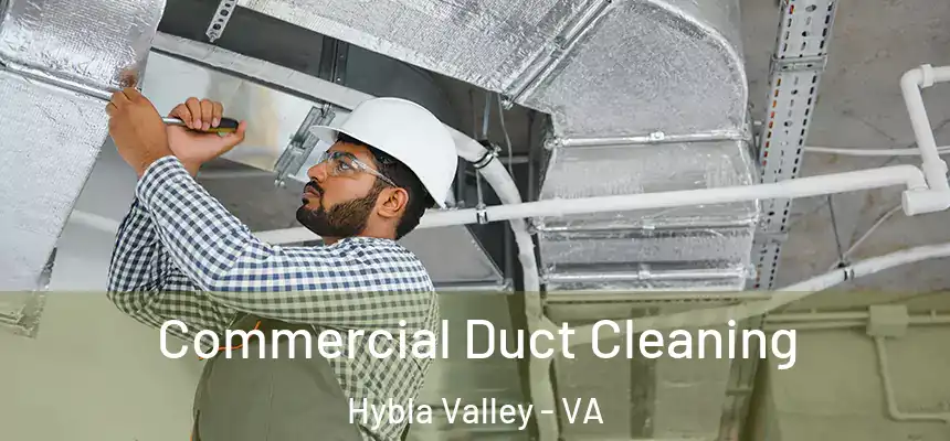 Commercial Duct Cleaning Hybla Valley - VA