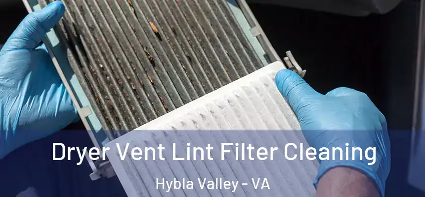  Dryer Vent Lint Filter Cleaning Hybla Valley - VA