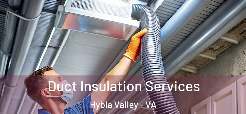  Duct Insulation Services Hybla Valley - VA
