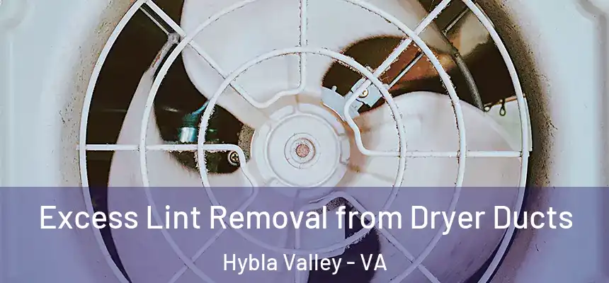 Excess Lint Removal from Dryer Ducts Hybla Valley - VA