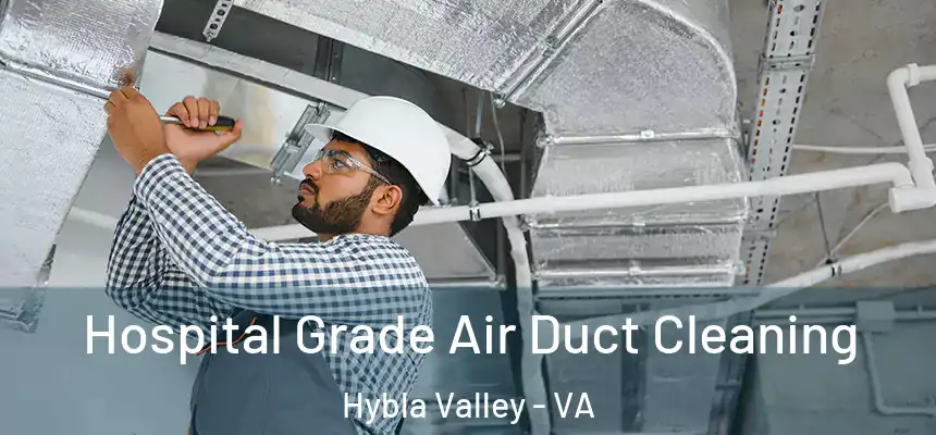 Hospital Grade Air Duct Cleaning Hybla Valley - VA