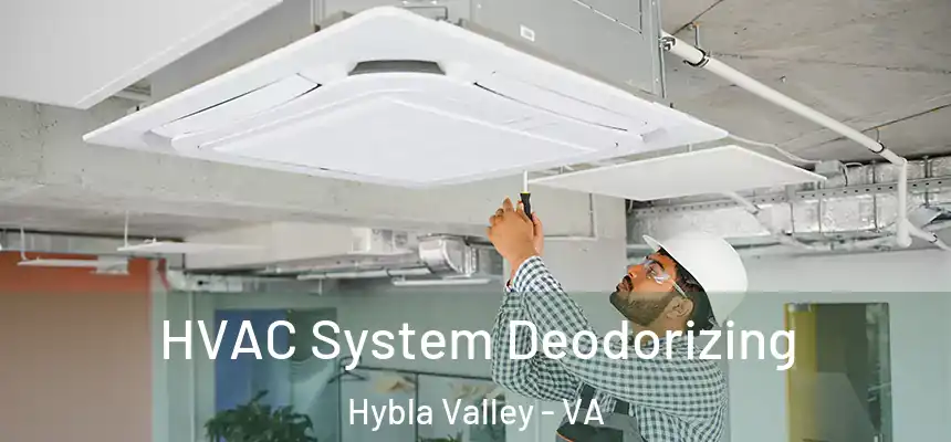  HVAC System Deodorizing Hybla Valley - VA