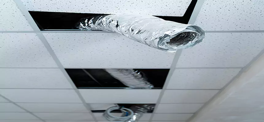 Our Air Duct Pet Hair Removal Services in Hybla Valley, VA