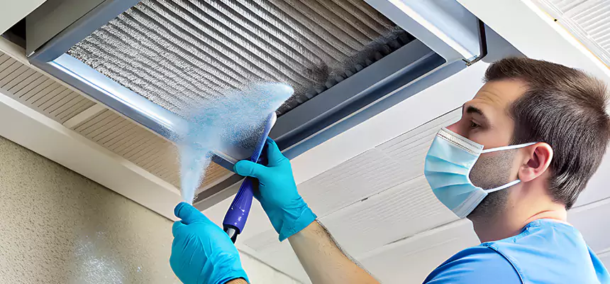 Proactive Dryer Vent & Auxiliary Duct Pollen Cleanup in Hybla Valley, VA