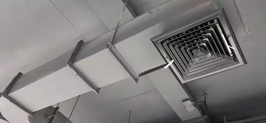 Restorative Allergy Relief Vent Cleaning – Coil, Blower & Housing Detail in Hybla Valley