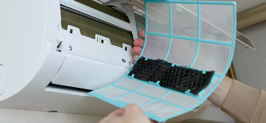 Gentle Ductwork Odor-Control Pet Dander Duct Cleaning in Hybla Valley, VA