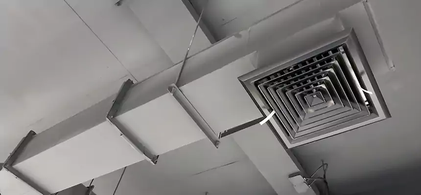 Our Rodent Droppings In Vents Services in Hybla Valley, VA