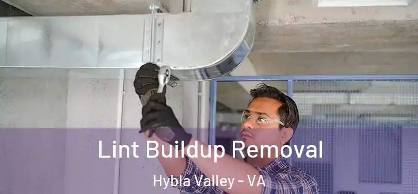 Lint Buildup Removal Hybla Valley - VA