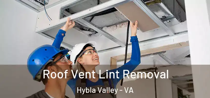 Roof Vent Lint Removal Hybla Valley - VA