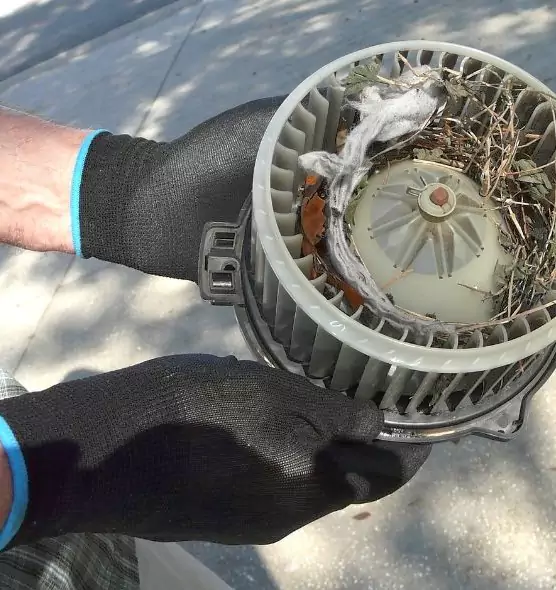 About Air Duct Mice Removal in Hybla Valley, VA