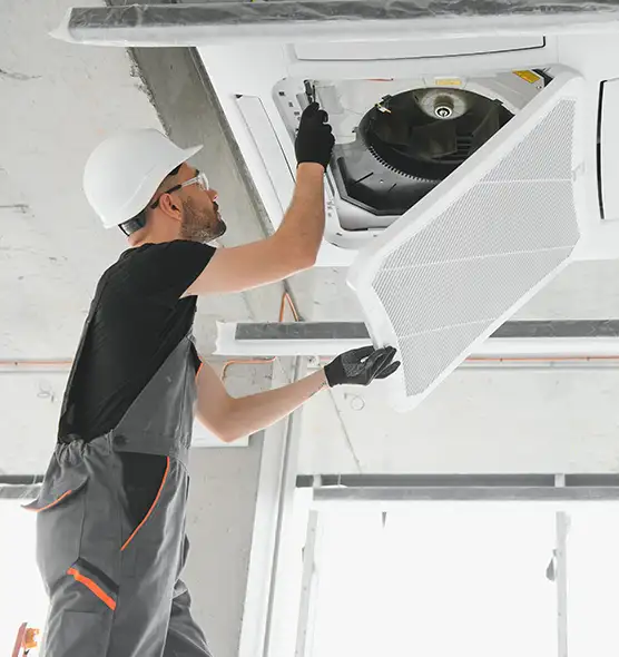 About Air Duct Rodent Removal in Hybla Valley, VA