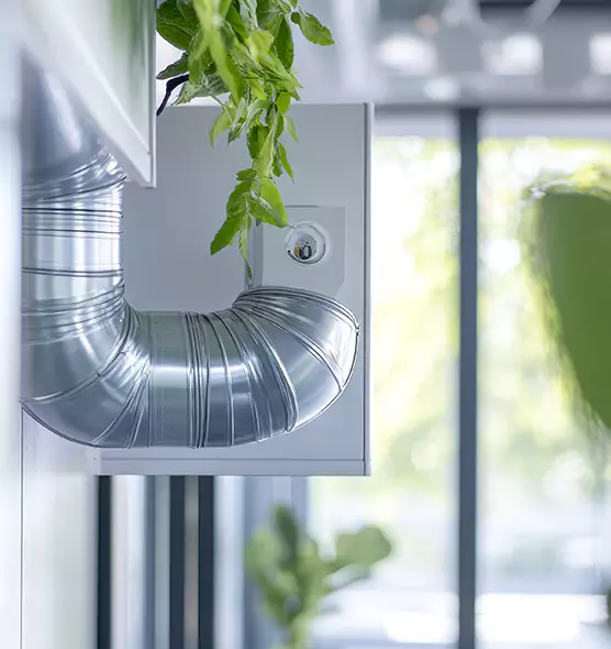 Professional Eco-Safe Dryer Vent Cleaning in Hybla Valley, VA