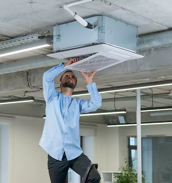 Advanced Rodent Droppings In Vents in Hybla Valley, VA