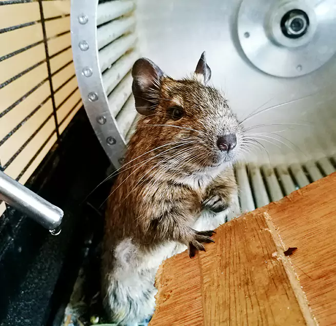 Why Homeowners & Businesses Trust Us Hybla Valley, VA